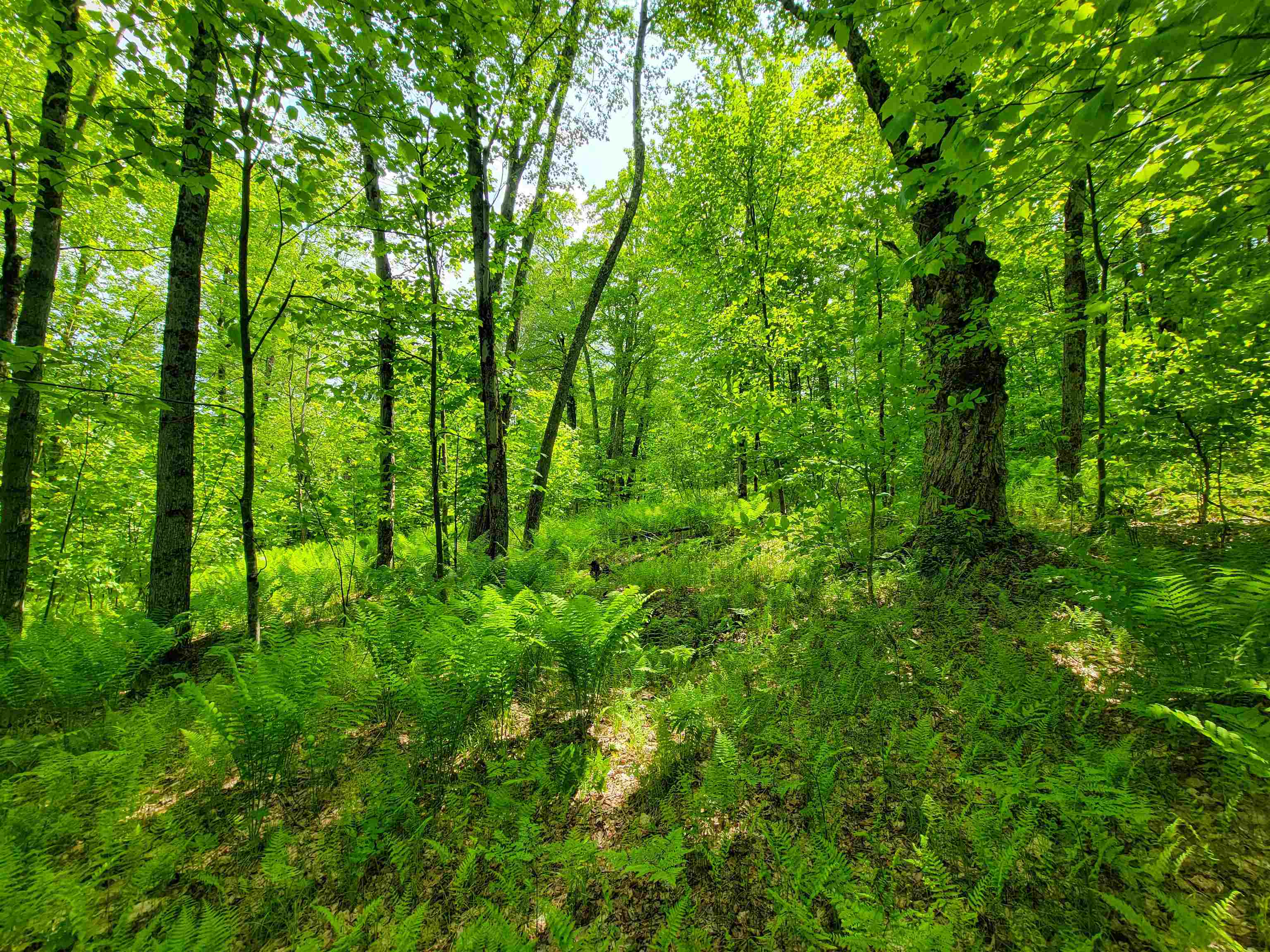 184 Schoolhouse Road, Unit LOT #2 Jamaica, VT 05343 - Photo 32 of 46