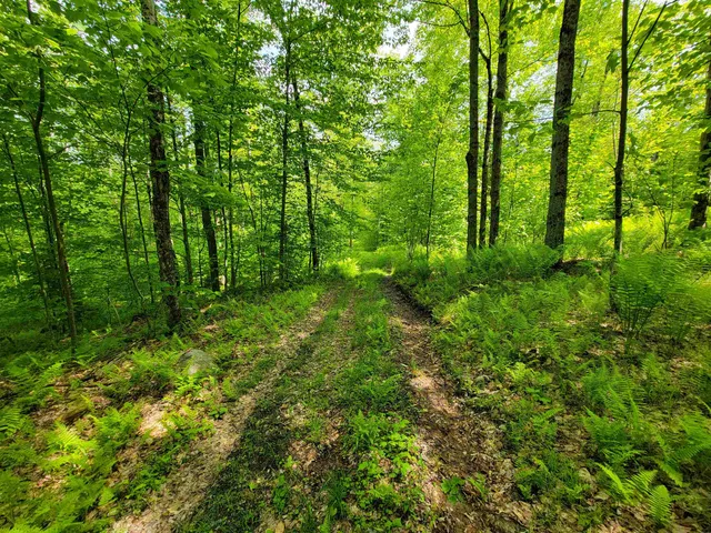 $210,000 | 184 Schoolhouse Road, Unit LOT #2, Jamaica, VT 05343