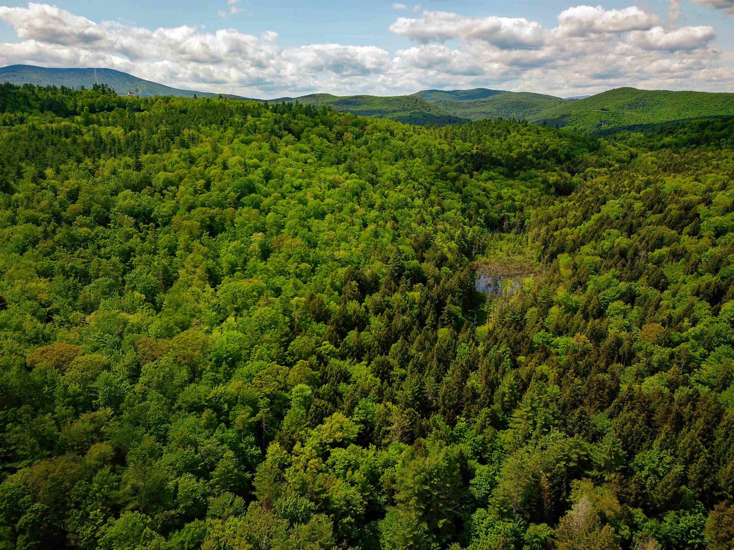 184 Schoolhouse Road, Unit LOT #2 Jamaica, VT 05343 - Photo 38 of 46