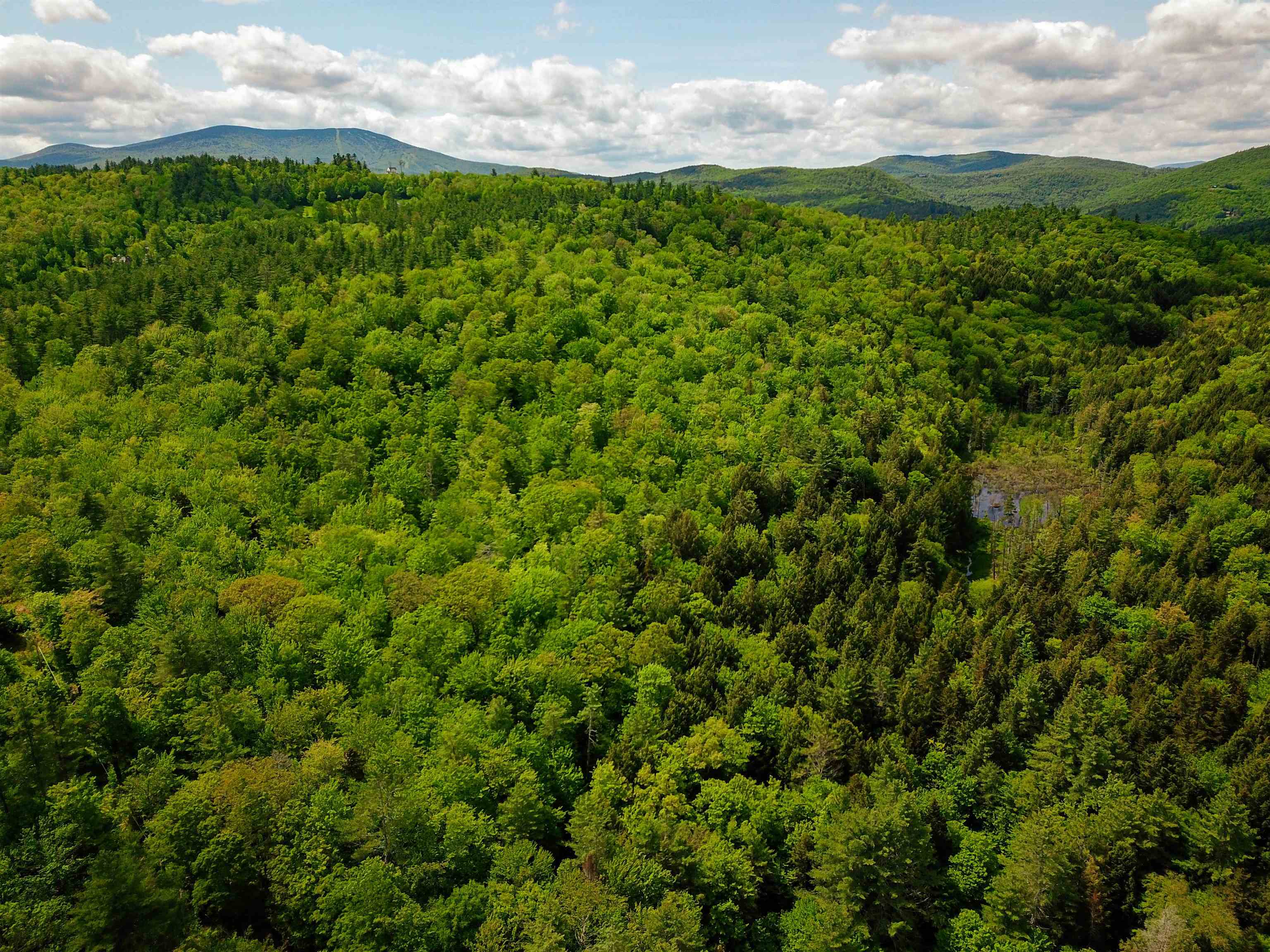 184 Schoolhouse Road, Unit LOT #2 Jamaica, VT 05343 - Photo 39 of 46
