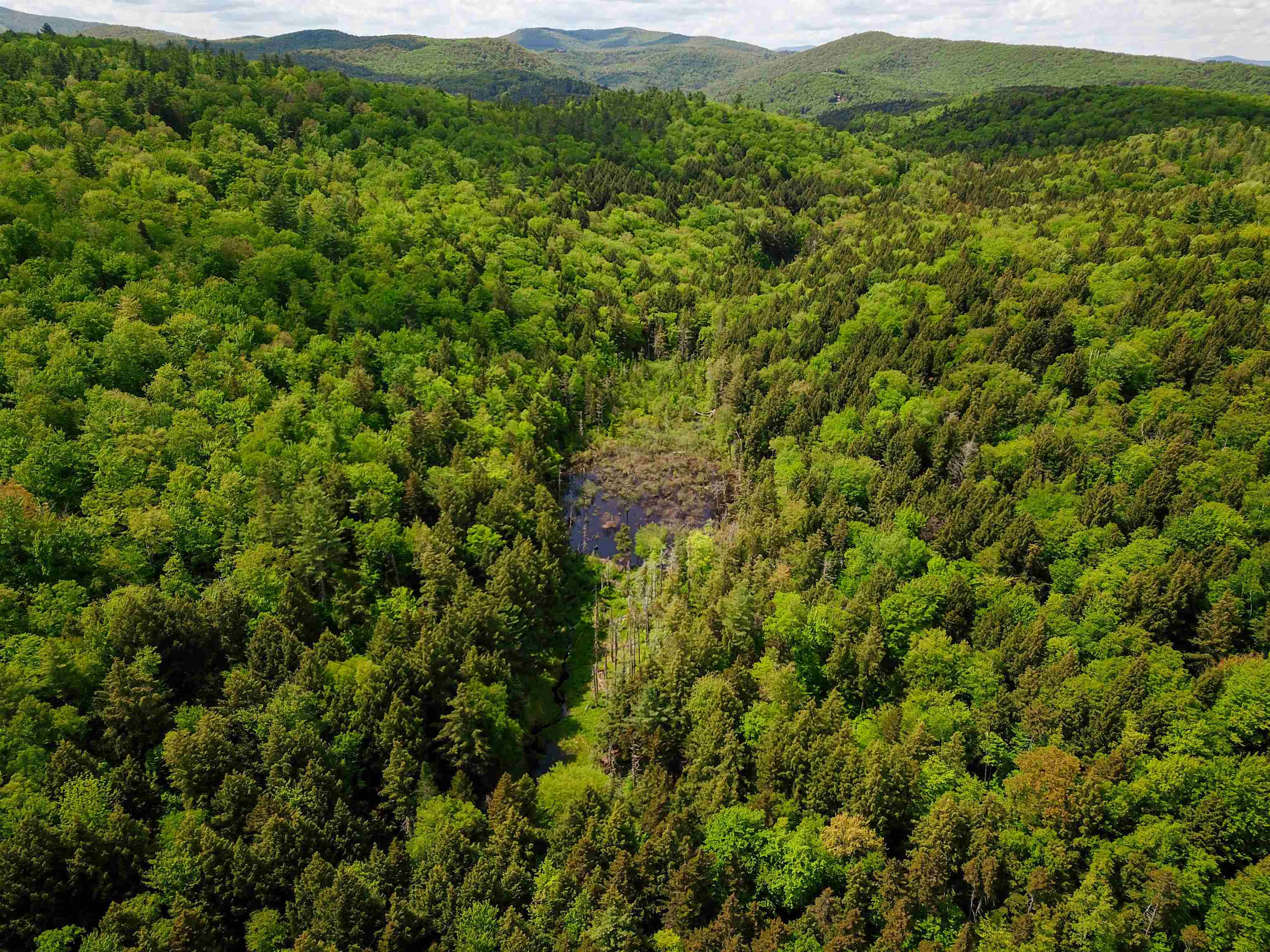 184 Schoolhouse Road, Unit LOT #2 Jamaica, VT 05343 - Photo 4 of 46
