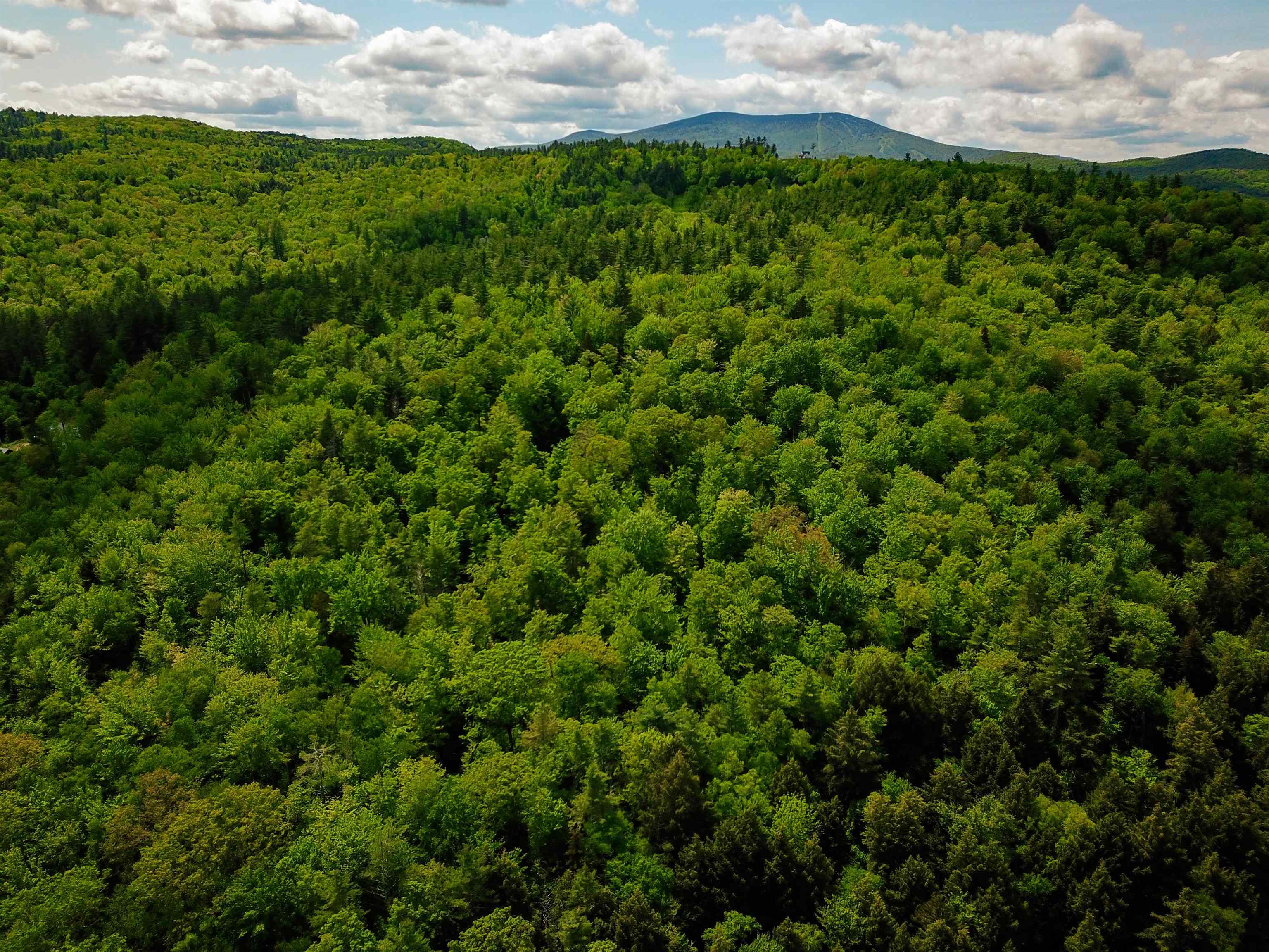 184 Schoolhouse Road, Unit LOT #2 Jamaica, VT 05343 - Photo 42 of 46