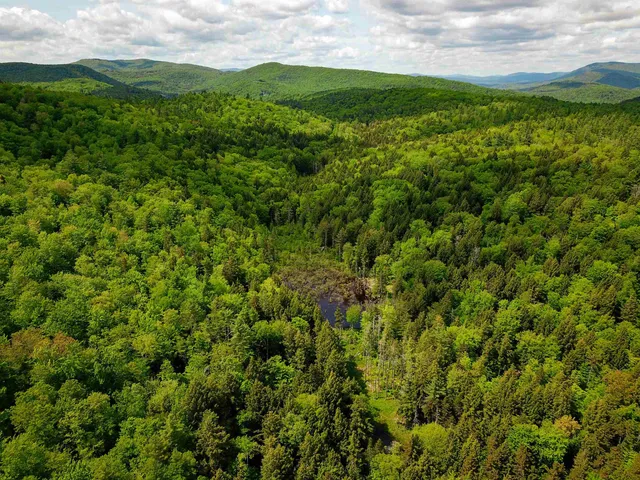 $210,000 | 184 Schoolhouse Road, Unit LOT #2, Jamaica, VT 05343