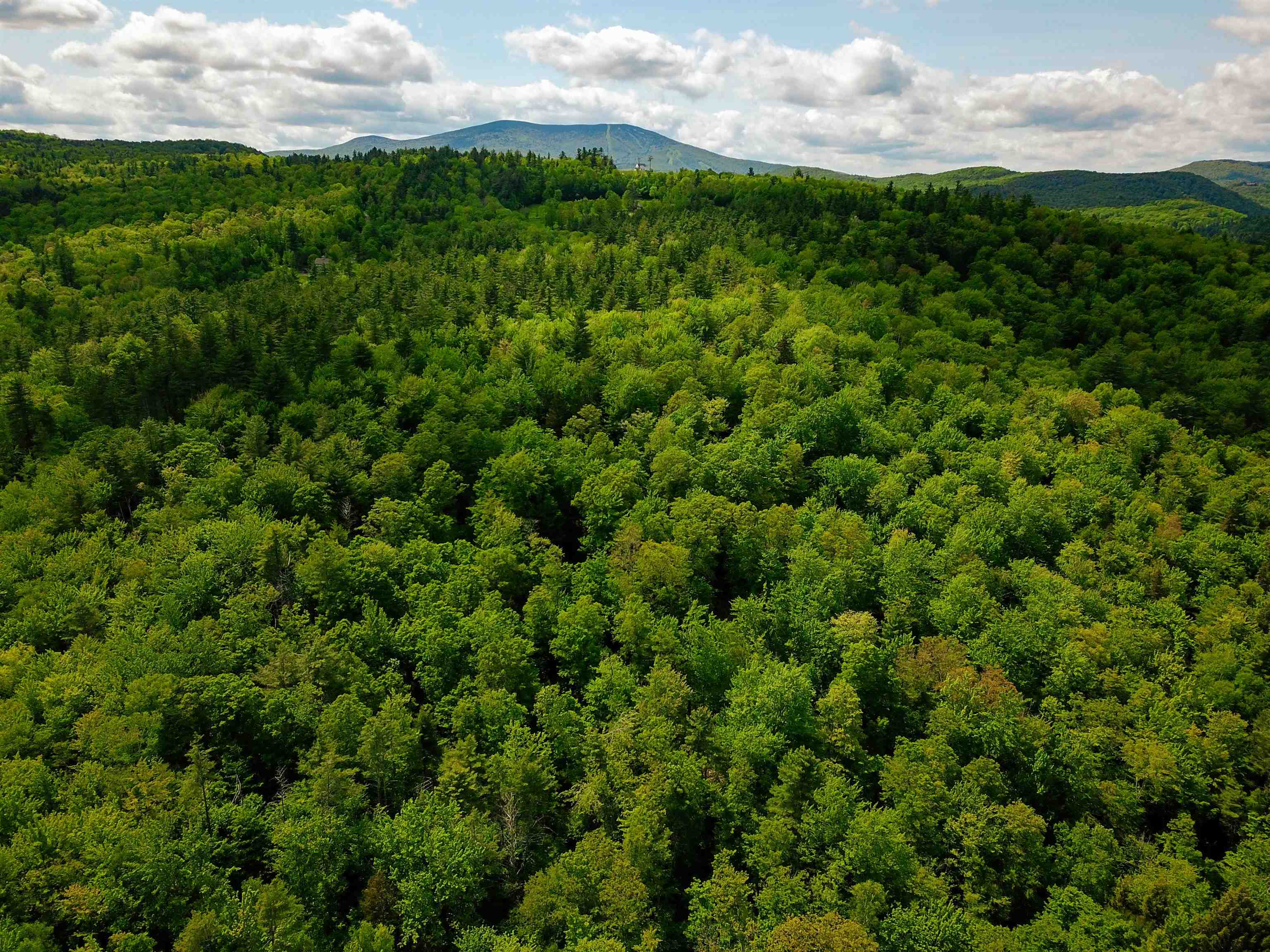 184 Schoolhouse Road, Unit LOT #2 Jamaica, VT 05343 - Photo 5 of 46