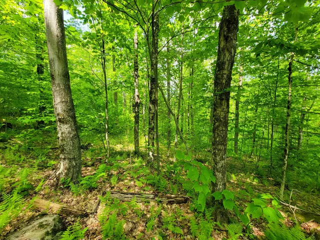 $210,000 | 184 Schoolhouse Road, Unit LOT #2, Jamaica, VT 05343