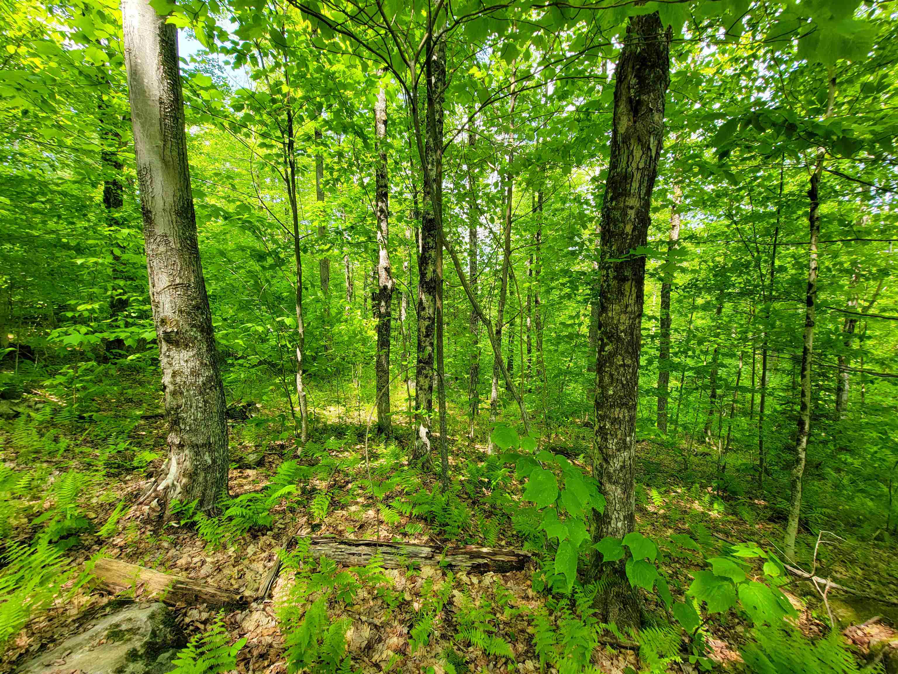 184 Schoolhouse Road, Unit LOT #2 Jamaica, VT 05343 - Photo 6 of 46