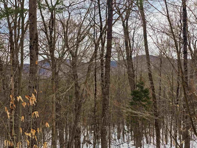 $210,000 | 184 Schoolhouse Road, Unit LOT #2, Jamaica, VT 05343