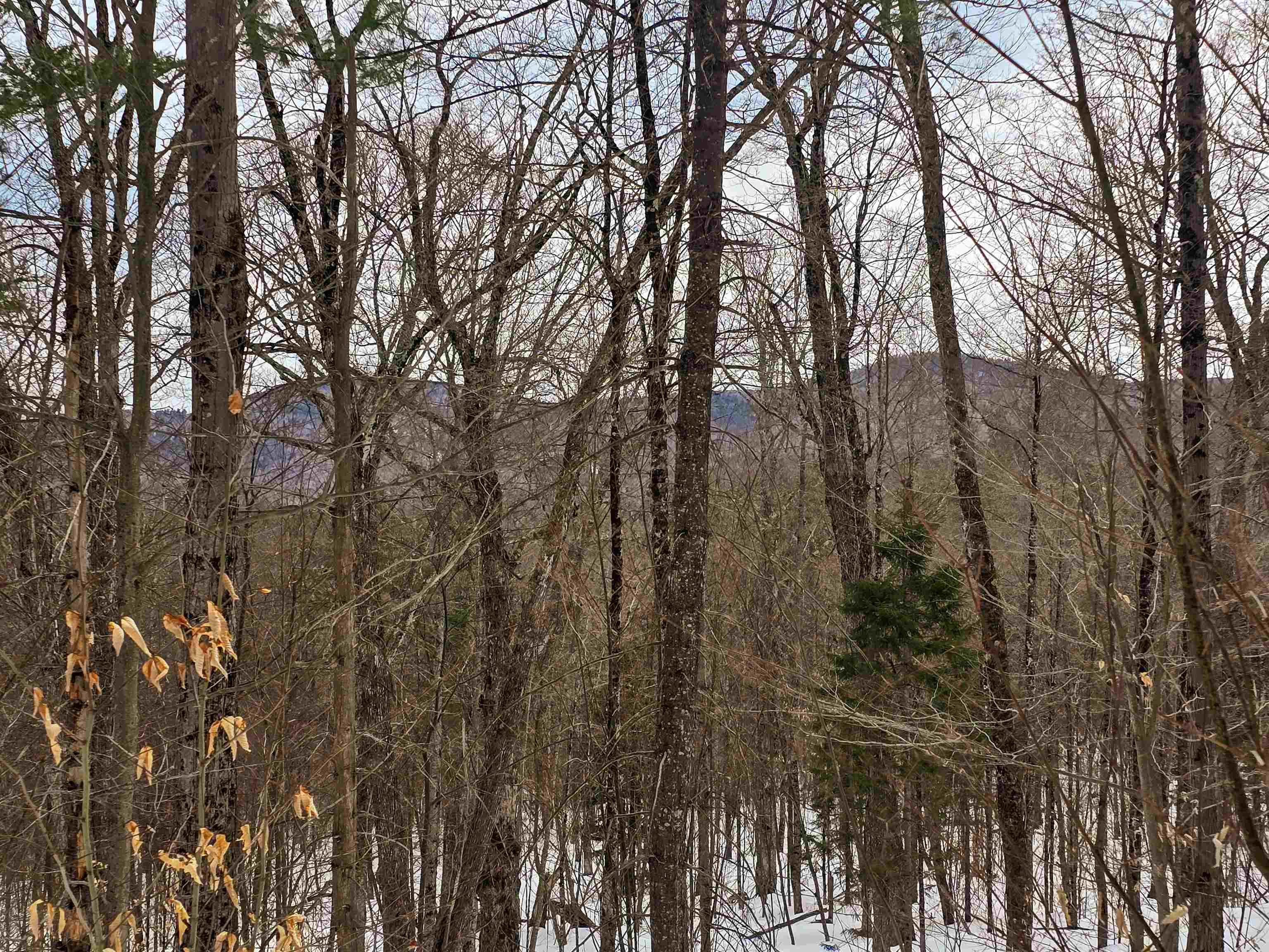 184 Schoolhouse Road, Unit LOT #2 Jamaica, VT 05343 - Photo 7 of 46