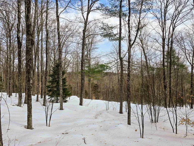 $210,000 | 184 Schoolhouse Road, Unit LOT #2, Jamaica, VT 05343
