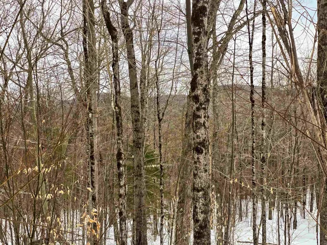 $210,000 | 184 Schoolhouse Road, Unit LOT #2, Jamaica, VT 05343