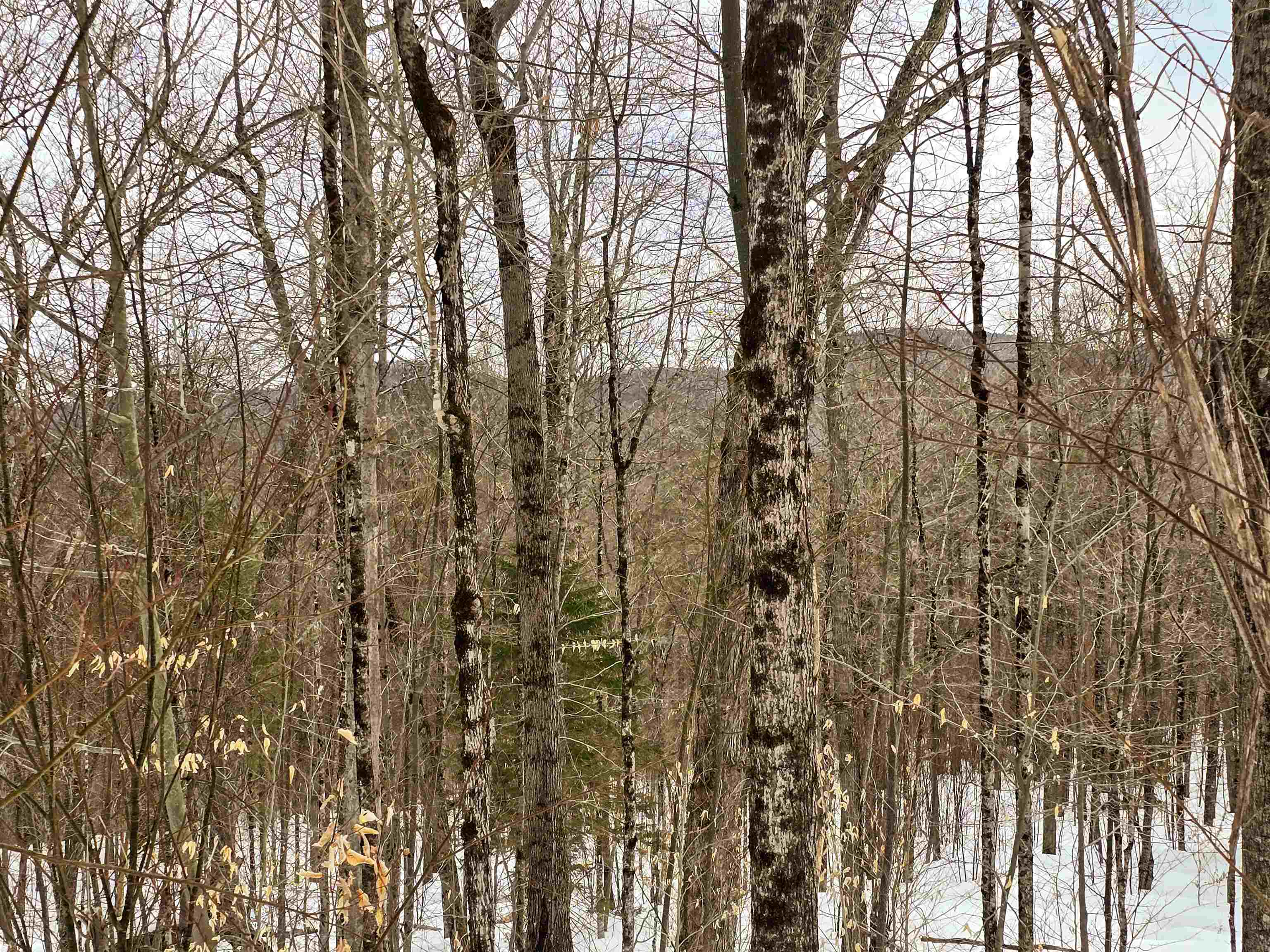 184 Schoolhouse Road, Unit LOT #2 Jamaica, VT 05343 - Photo 9 of 46