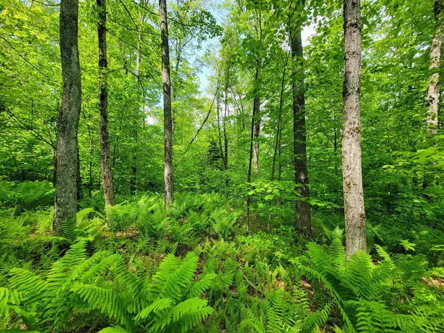 $210,000 | 184 Schoolhouse Road, Unit LOT #2, Jamaica, VT 05343