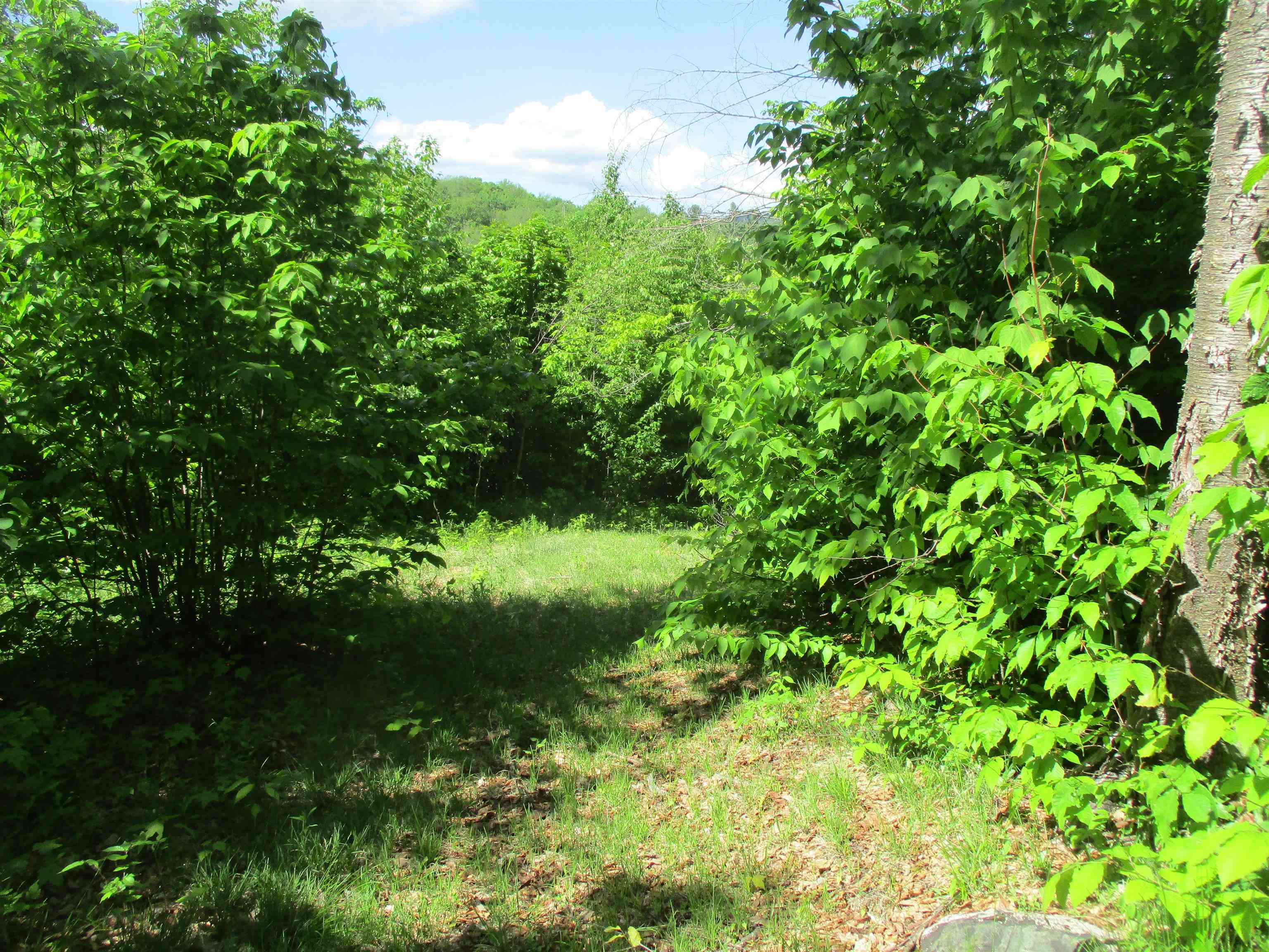 222 Granstworth Road Braintree, VT 05060 - Photo 25 of 31 Gallery Image 25