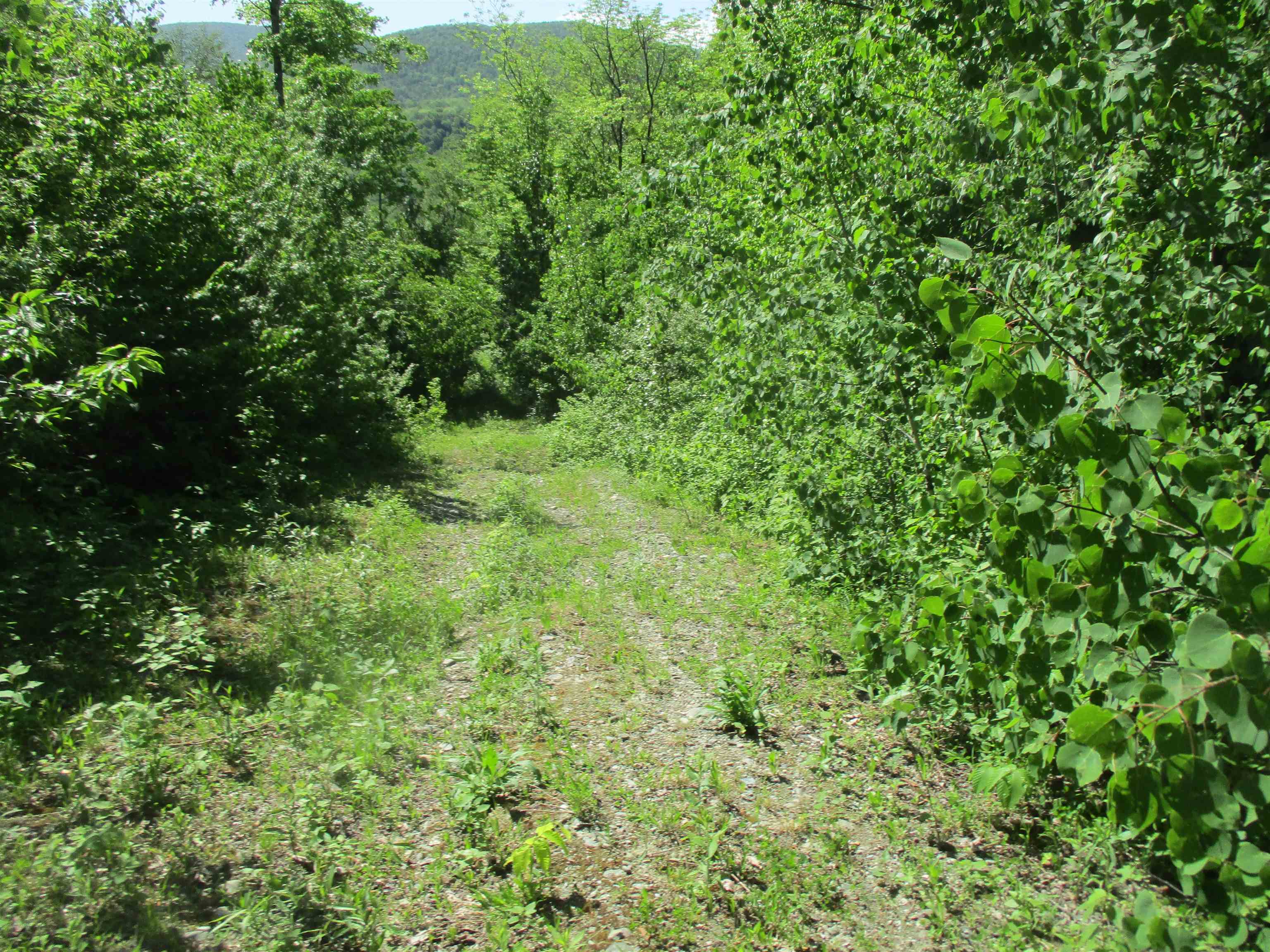 222 Granstworth Road Braintree, VT 05060 - Photo 26 of 31 Gallery Image 26