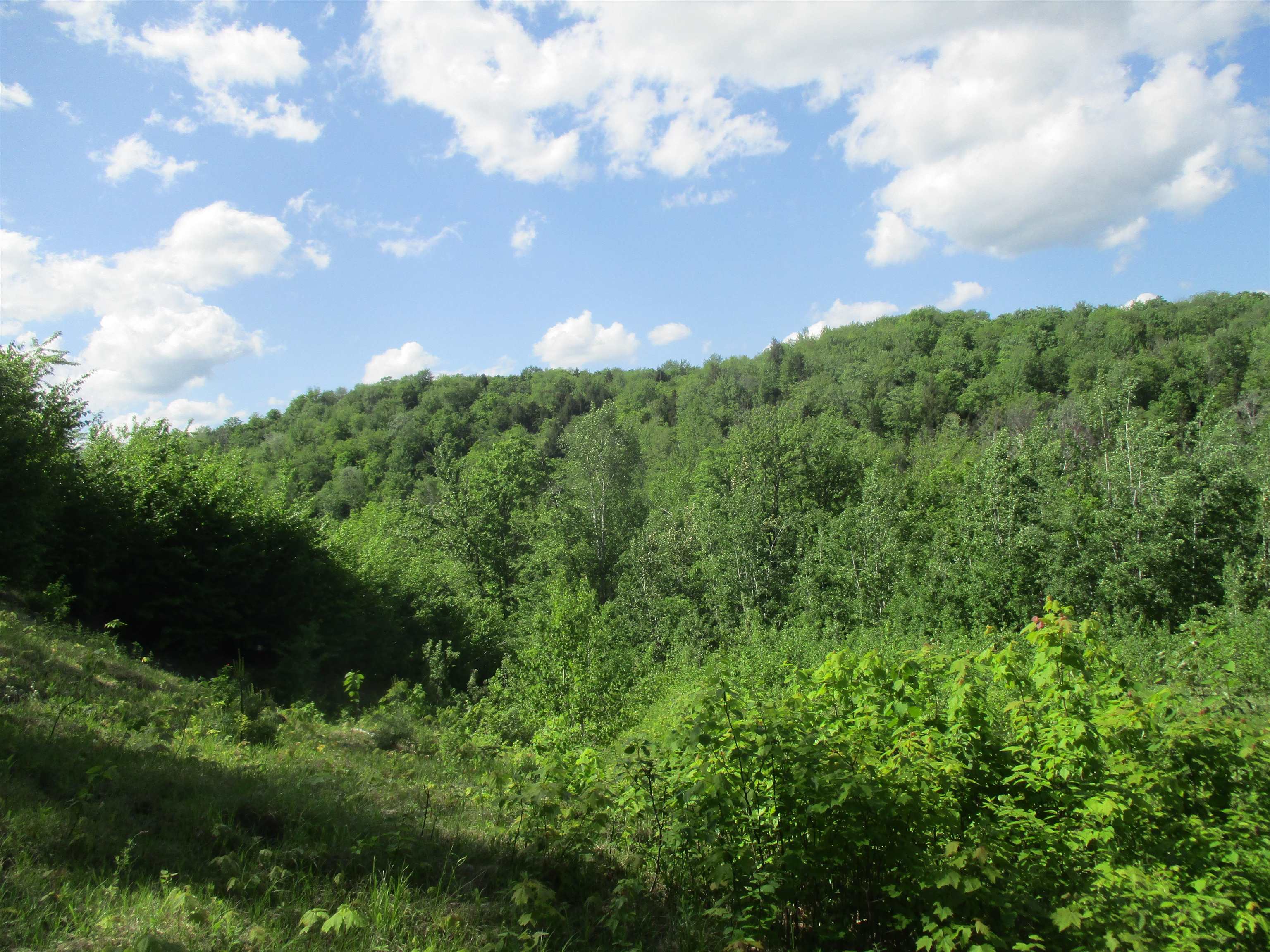222 Granstworth Road Braintree, VT 05060 - Photo 27 of 31 Gallery Image 27