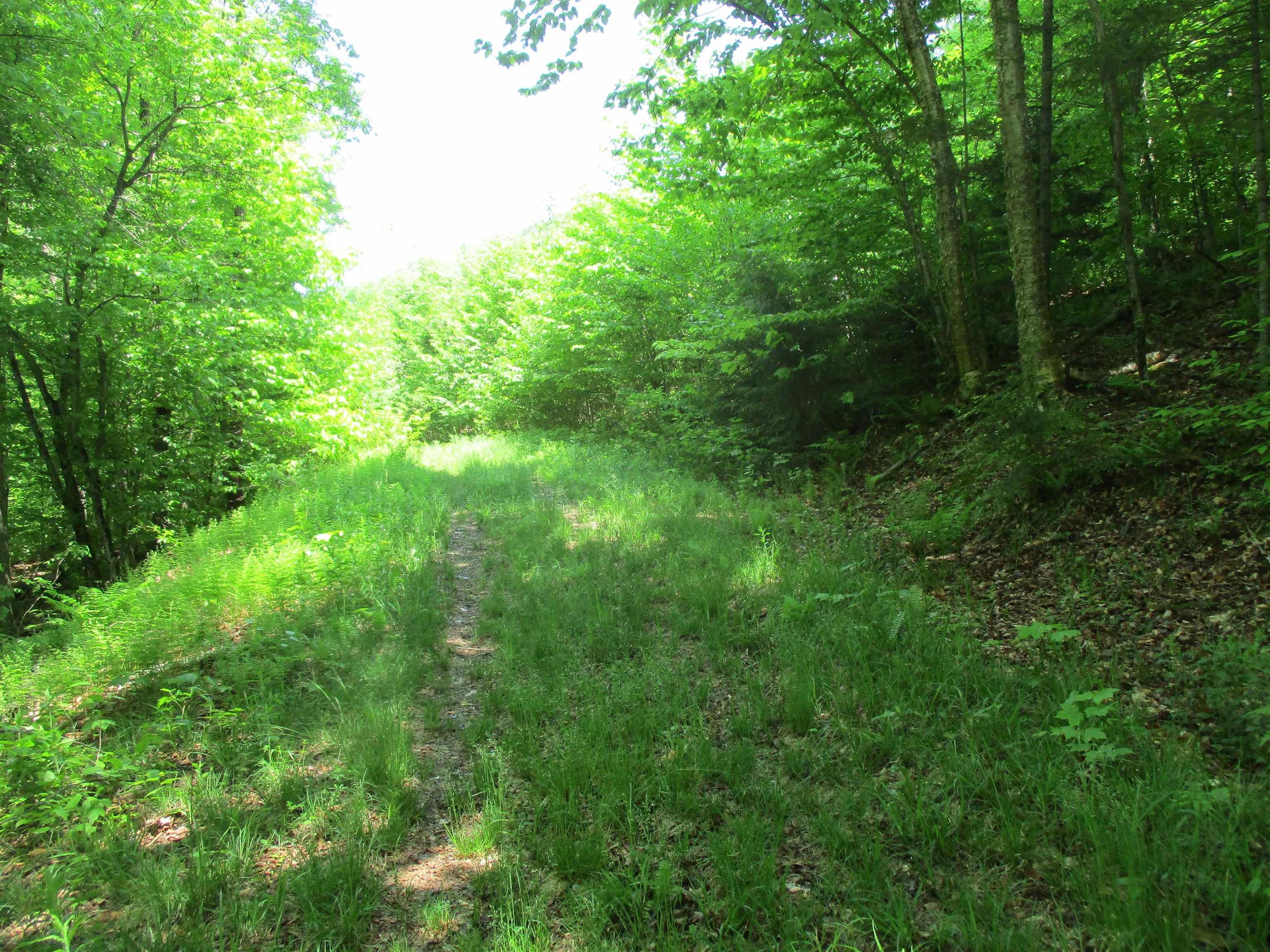222 Granstworth Road Braintree, VT 05060 - Photo 10 of 31 Gallery Image 10