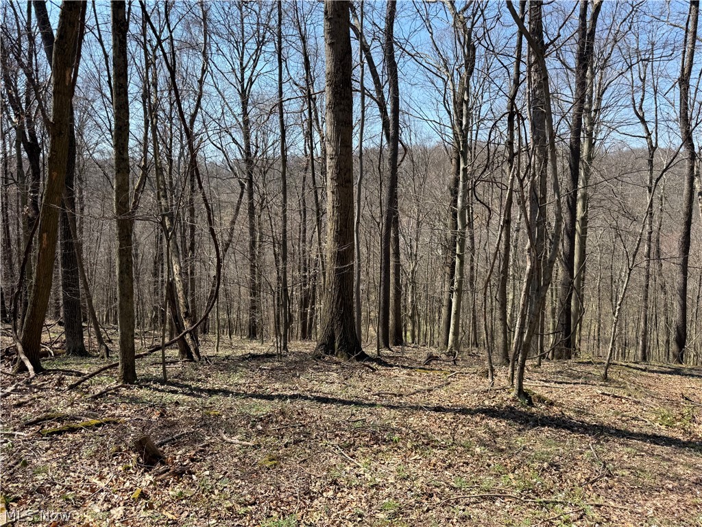 0 Kragel Road Richmond, OH 43944 - Photo 26 of 31