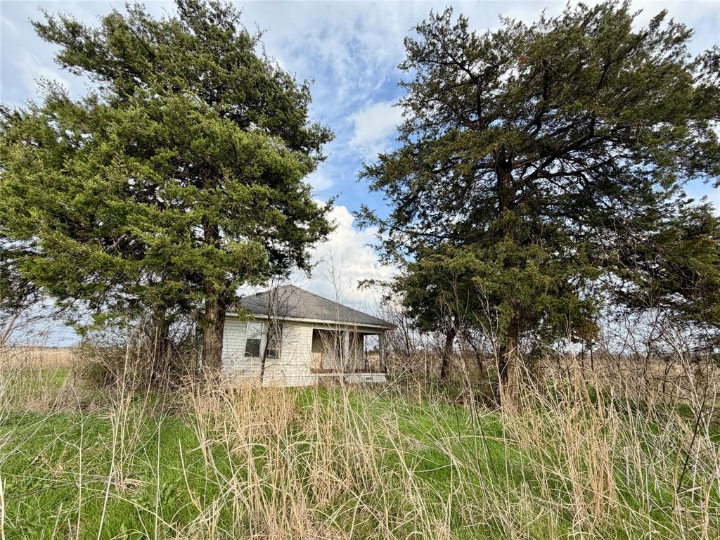 1900 Nesuda Road Ennis, TX 75119 - Photo 7 of 17 a view of a house with a tree