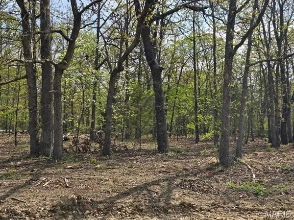 $58,750 | Tract G Tract G Golden Lane, Lebanon, MO 65536