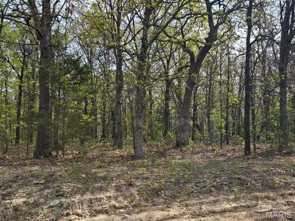 $58,750 | Tract G Tract G Golden Lane, Lebanon, MO 65536