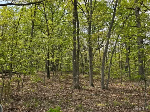 $58,750 | Tract G Tract G Golden Lane, Lebanon, MO 65536