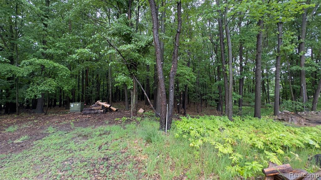 2608 East Sutton Road Metamora, MI 48455 - Photo 52 of 64