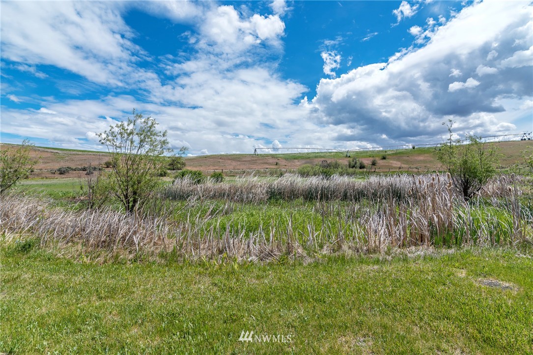 6550 Number 6 Road Ellensburg, WA 98926 - Photo 26 of 31 Gallery Image 26