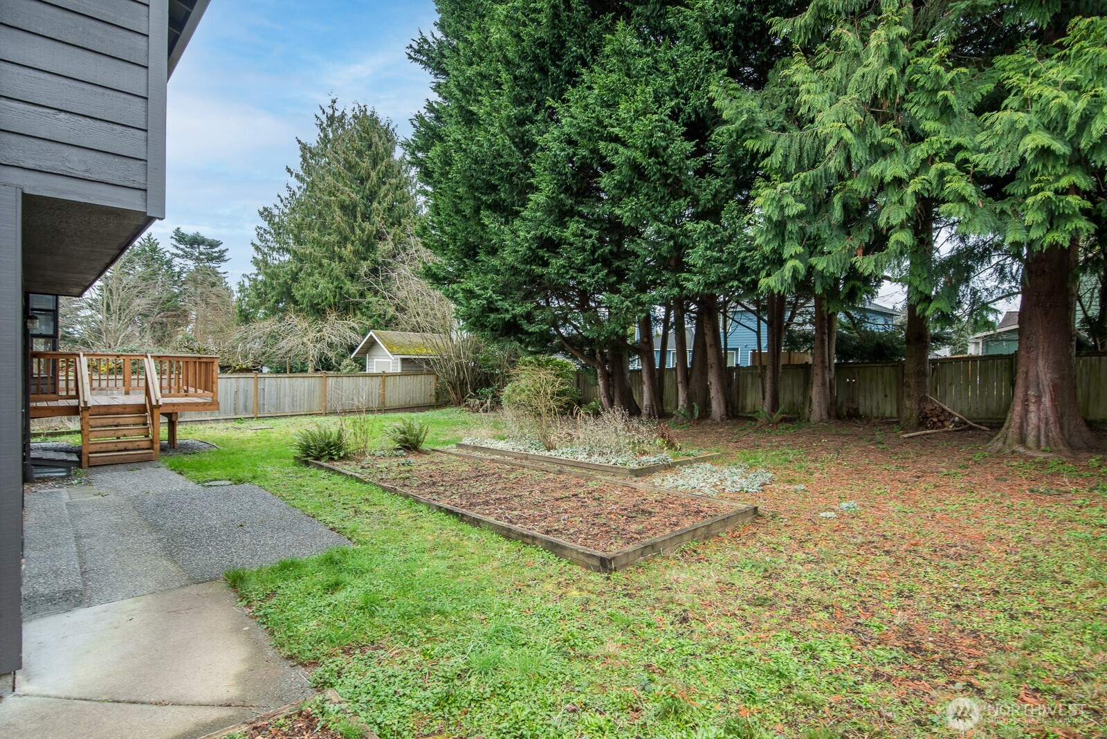 810 151st Street Southwest Lynnwood, WA 98087 - Photo 31 of 38 a view of a yard with a tree