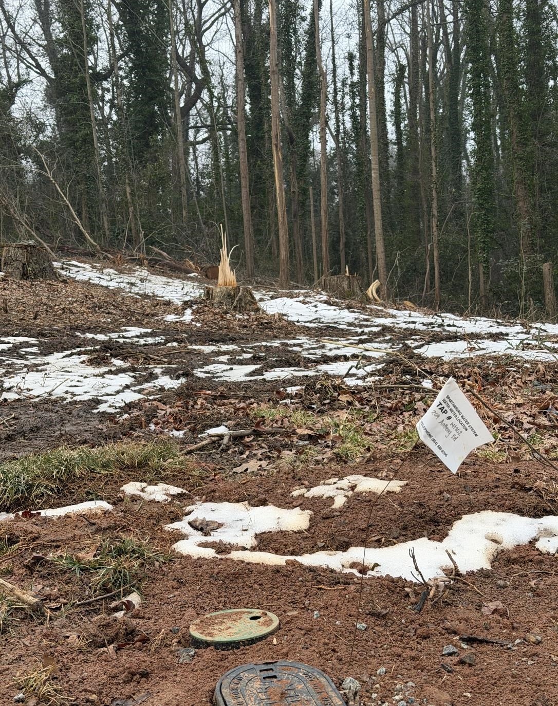 209 Anthony Road Spartanburg, SC 29301 - Photo 3 of 8