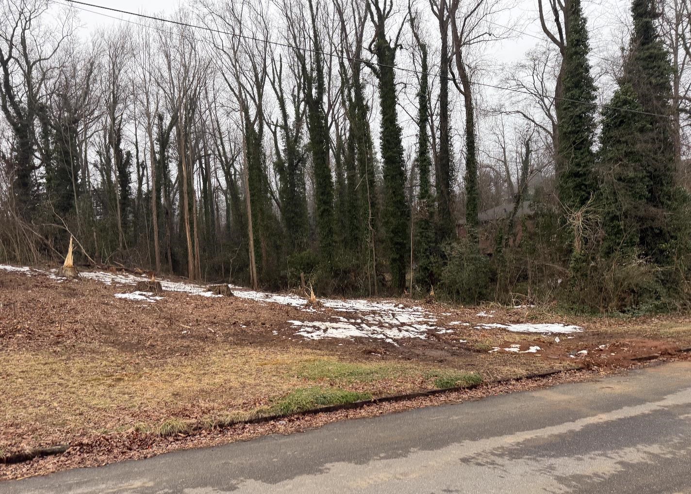 209 Anthony Road Spartanburg, SC 29301 - Photo 5 of 8