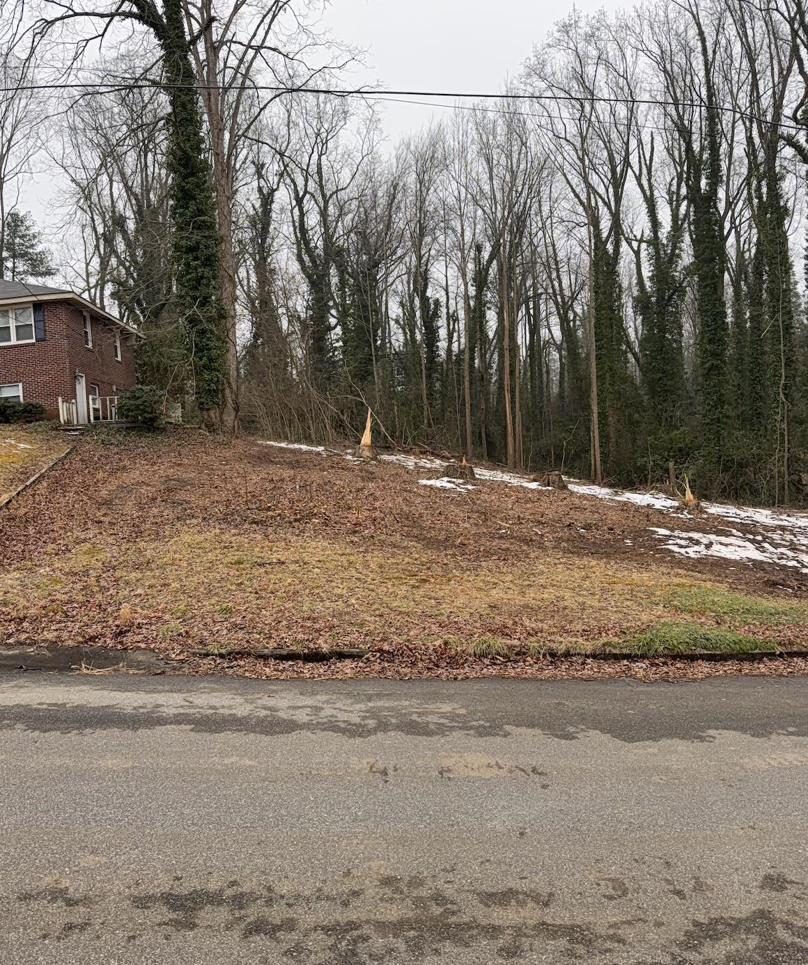 209 Anthony Road Spartanburg, SC 29301 - Photo 7 of 8