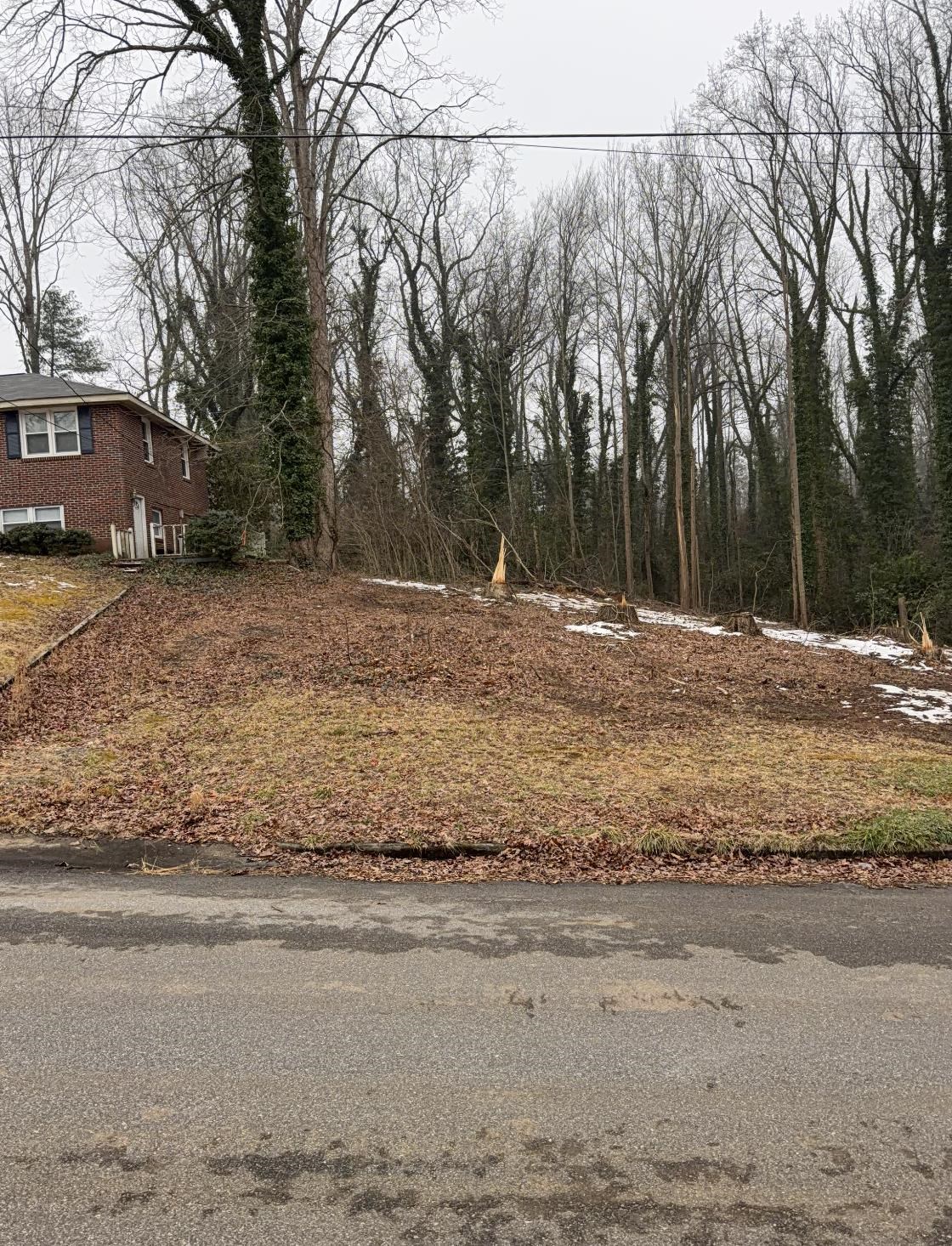 209 Anthony Road Spartanburg, SC 29301 - Photo 8 of 8