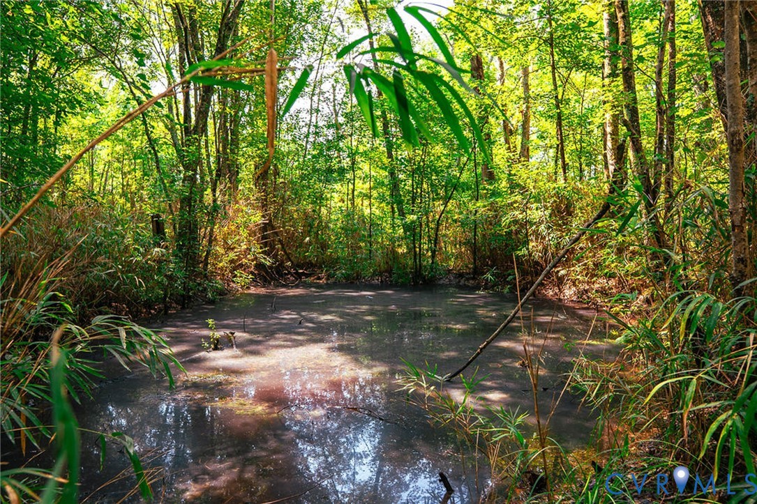663.8-acres Peach Road Chesapeake, VA 23321 - Photo 40 of 48 Gallery Image 40
