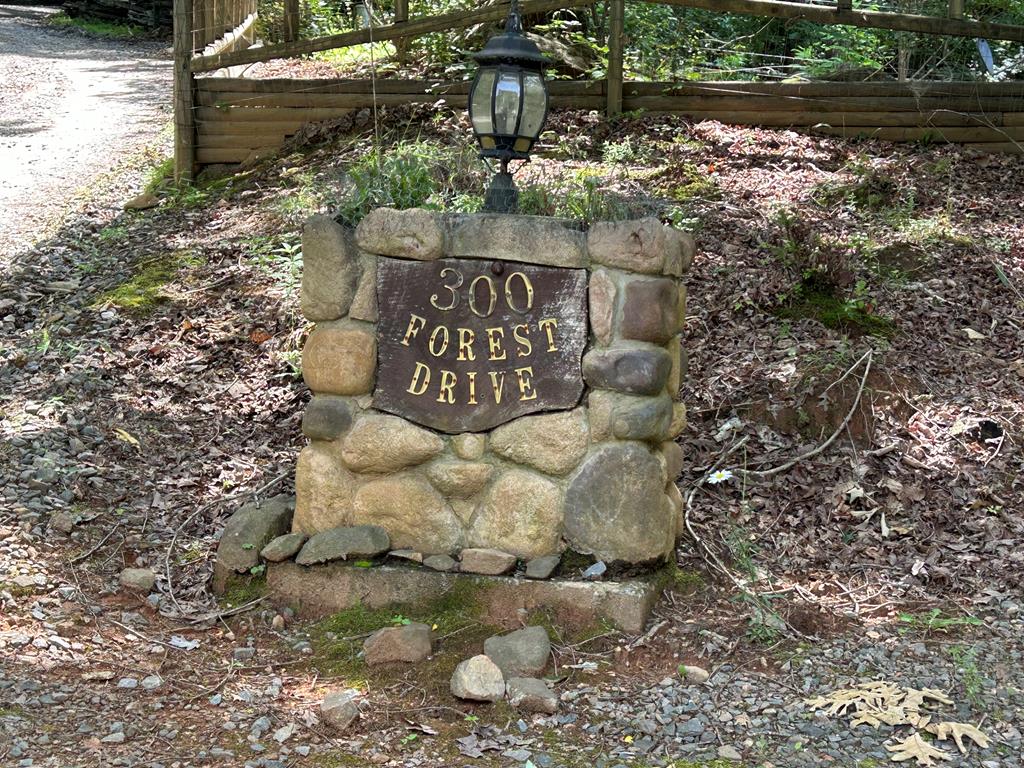 300 Forest Drive Morganton, GA 30560 - Photo 17 of 73 Entry Stone Pillar
