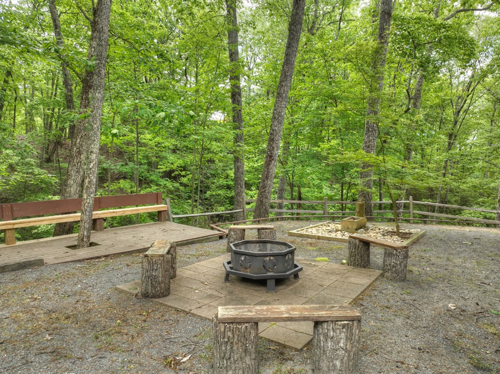 300 Forest Drive Morganton, GA 30560 - Photo 29 of 73 Firepit Area