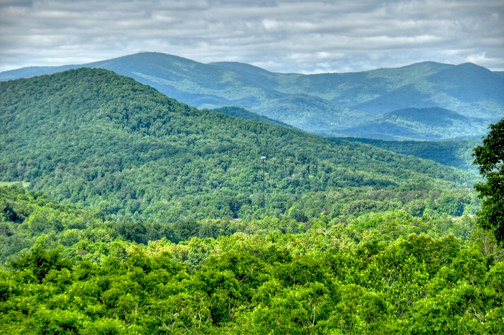 300 Forest Drive Morganton, GA 30560 - Photo 33 of 73 Views of the National Forest