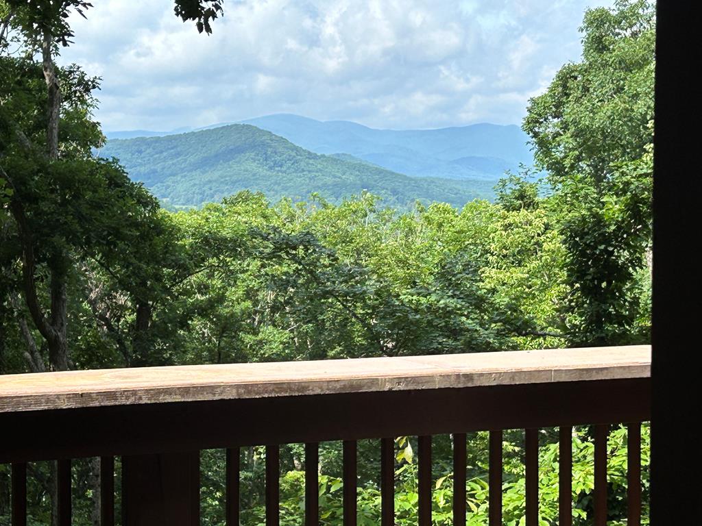 300 Forest Drive Morganton, GA 30560 - Photo 47 of 73 Views Overlooking National Forest