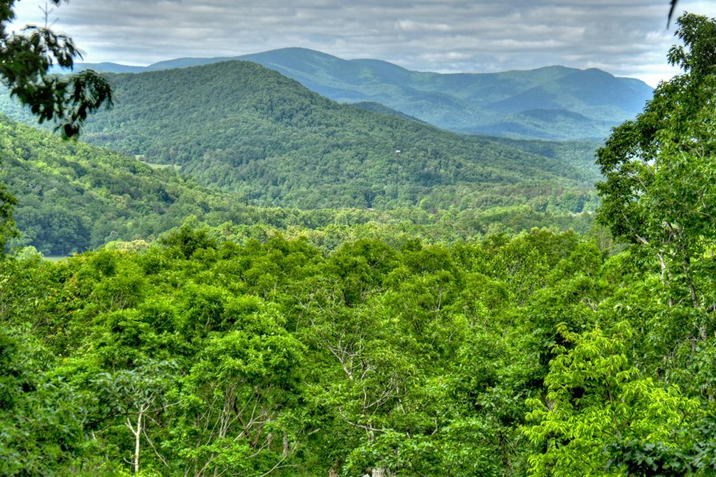 300 Forest Drive Morganton, GA 30560 - Photo 55 of 73 National Forest Views