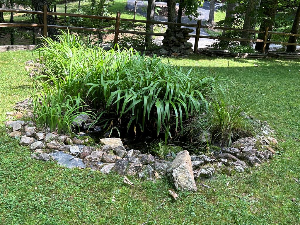 300 Forest Drive Morganton, GA 30560 - Photo 58 of 73 Koi Pond w/Waterfall