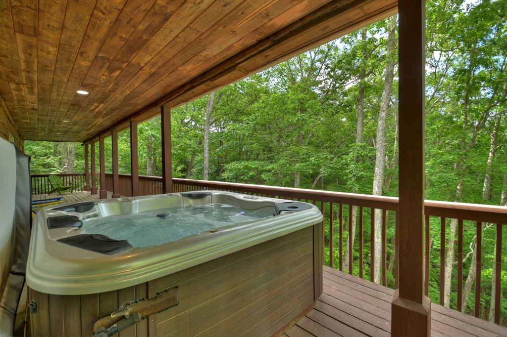 300 Forest Drive Morganton, GA 30560 - Photo 59 of 73 Hot Tub