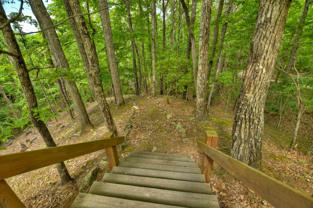 300 Forest Drive Morganton, GA 30560 - Photo 65 of 73 Walkway to the Forest