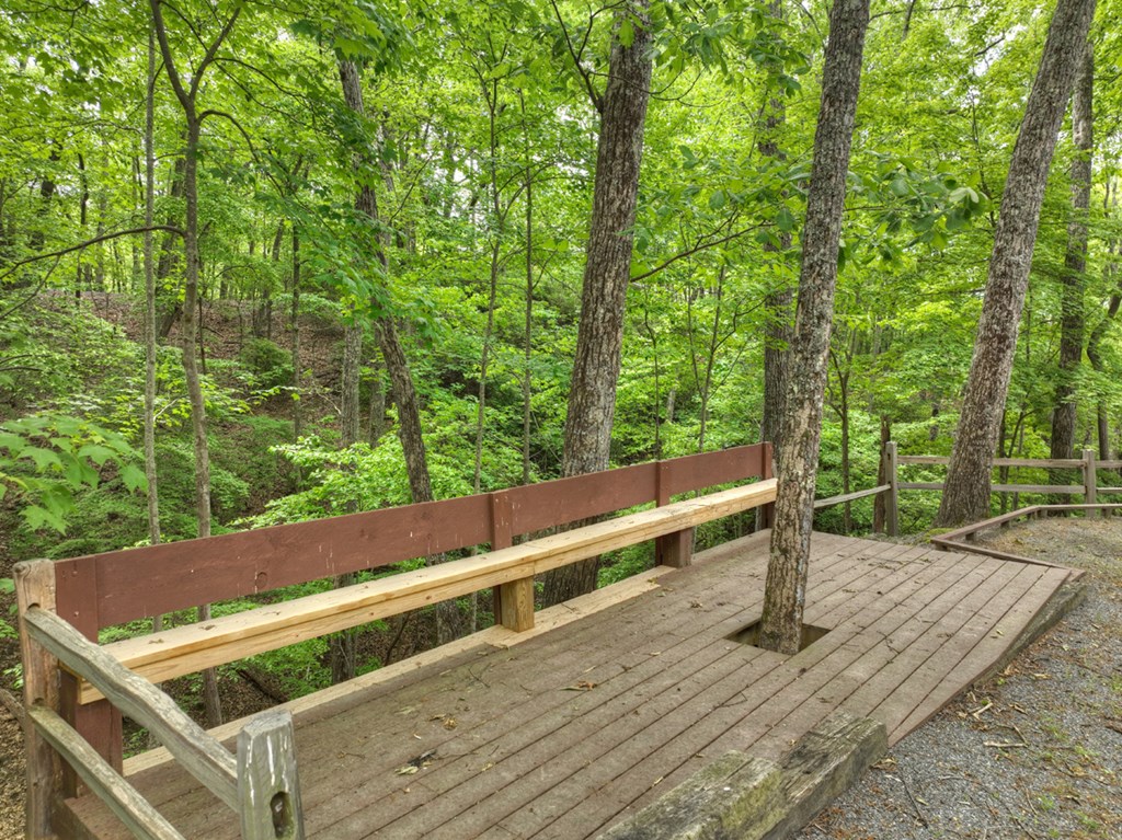 300 Forest Drive Morganton, GA 30560 - Photo 66 of 73 Side Deck by Firepit