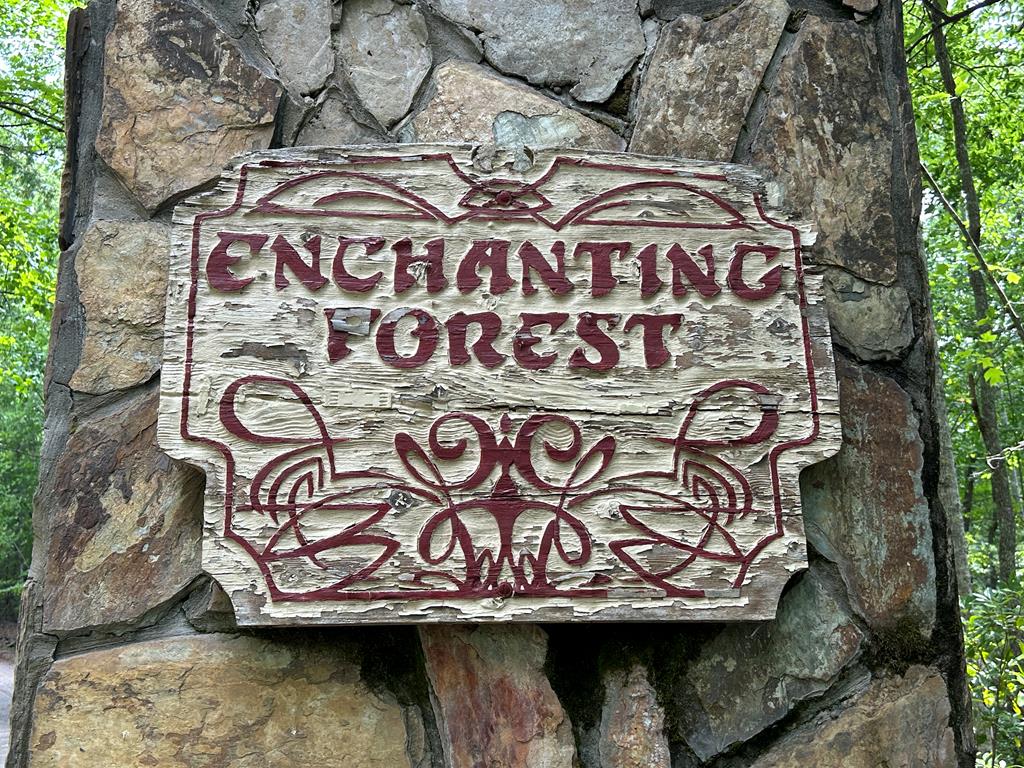 300 Forest Drive Morganton, GA 30560 - Photo 67 of 73 Subdivision Entry