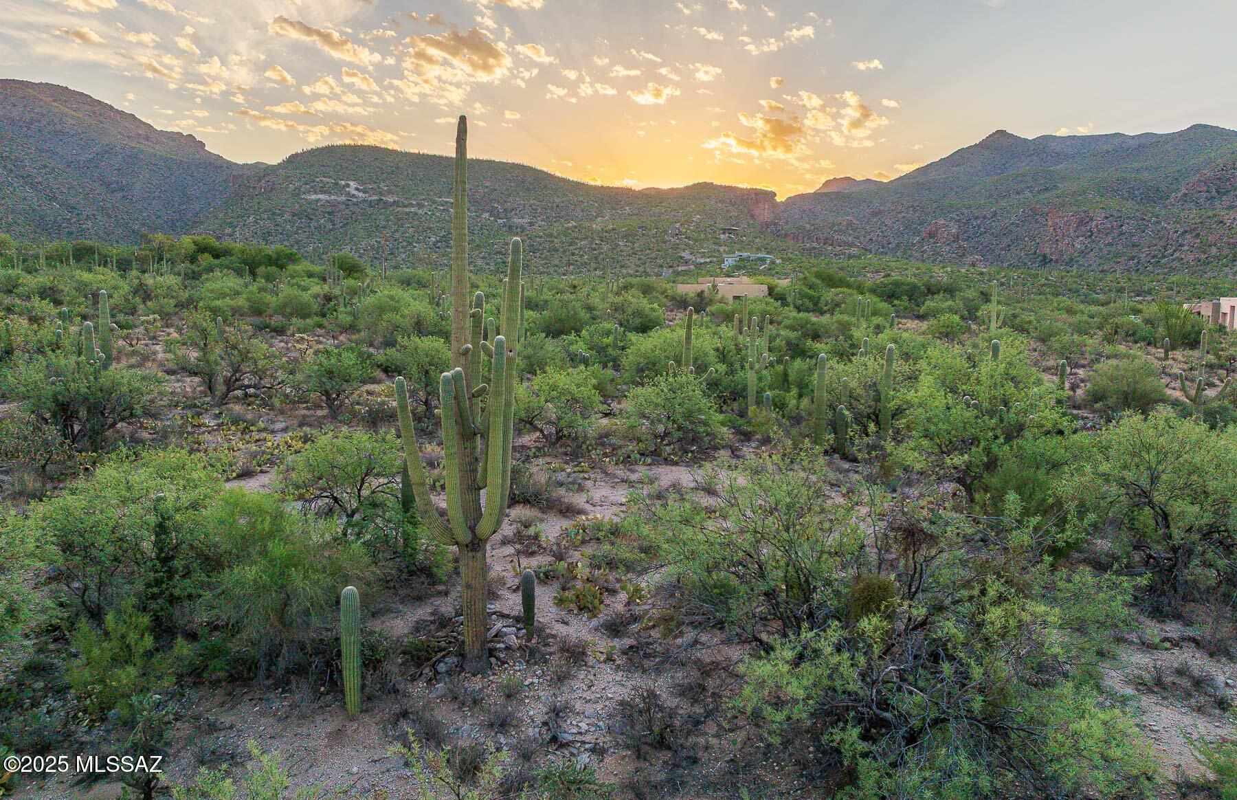 12550 East Horsehead Road Tucson, AZ 85749 - Photo 13 of 29