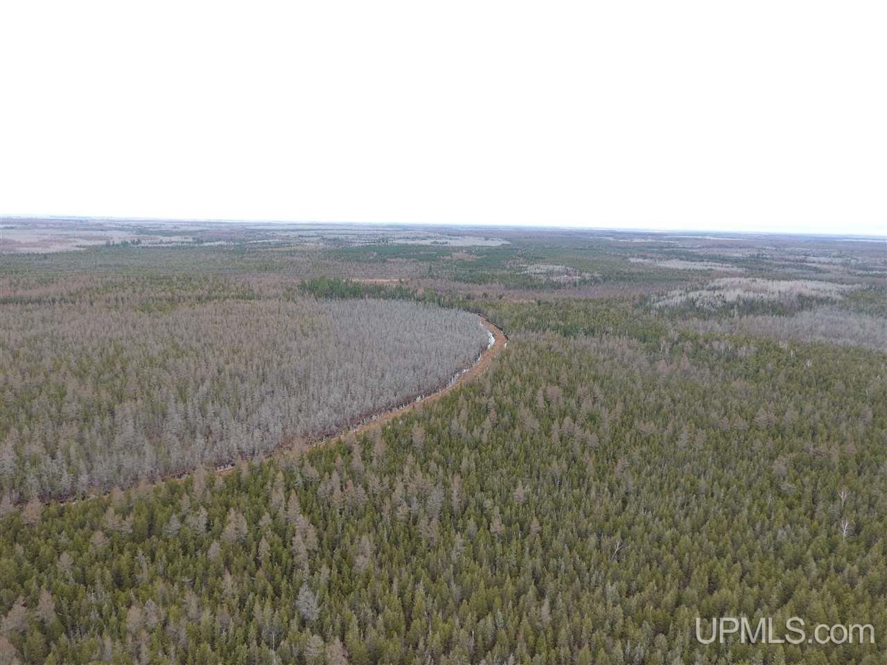 32066 County 426 M.5 Road Cornell, MI 49818 - Photo 31 of 36