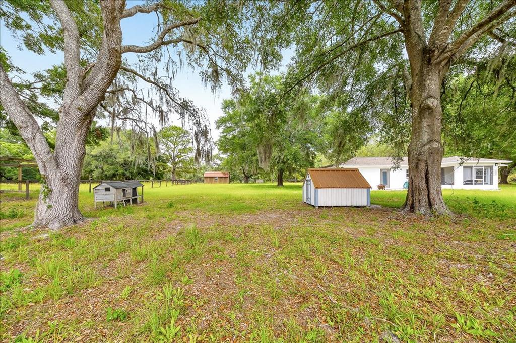 6350 Northwest 135th Avenue Morriston, FL 32668 - Photo 5 of 38