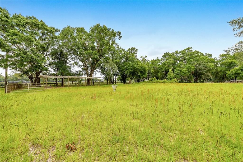 6350 Northwest 135th Avenue Morriston, FL 32668 - Photo 7 of 38