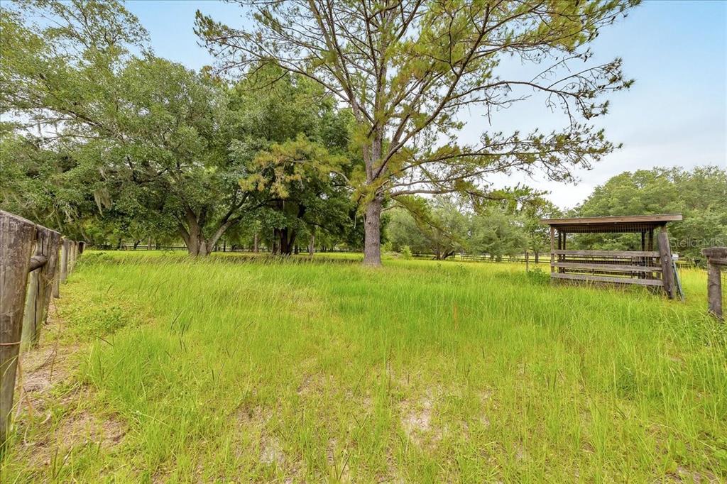 6350 Northwest 135th Avenue Morriston, FL 32668 - Photo 8 of 38