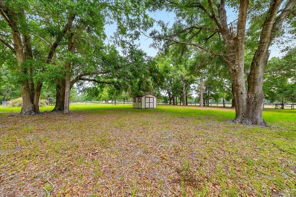 6350 Northwest 135th Avenue Morriston, FL 32668 - Photo 9 of 38