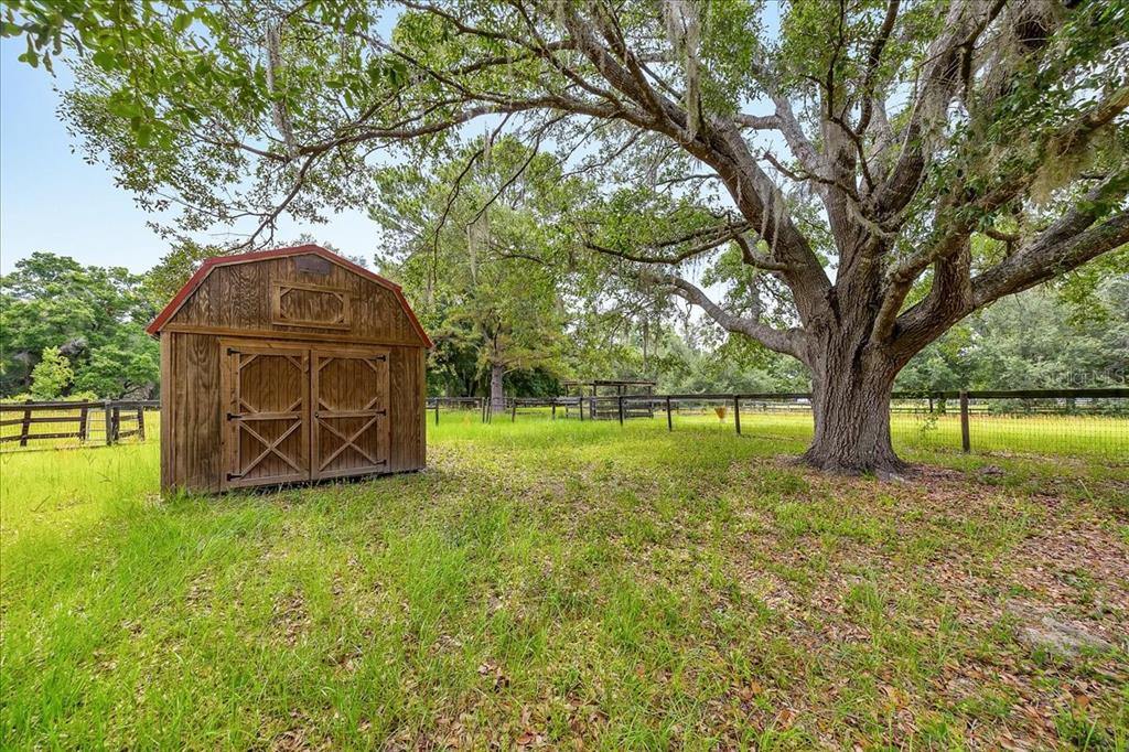 6350 Northwest 135th Avenue Morriston, FL 32668 - Photo 10 of 38